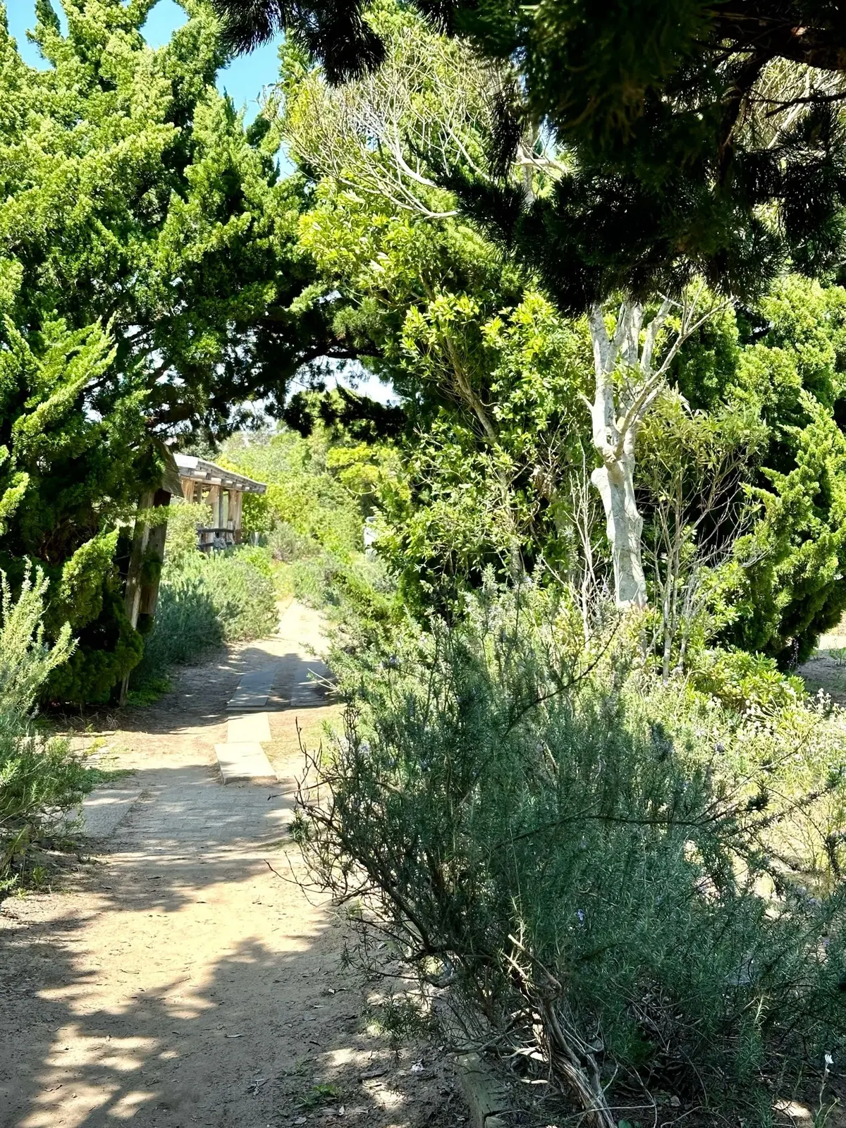 ハーブガーデンで過ごす癒しの時間♡千葉にの画像_15