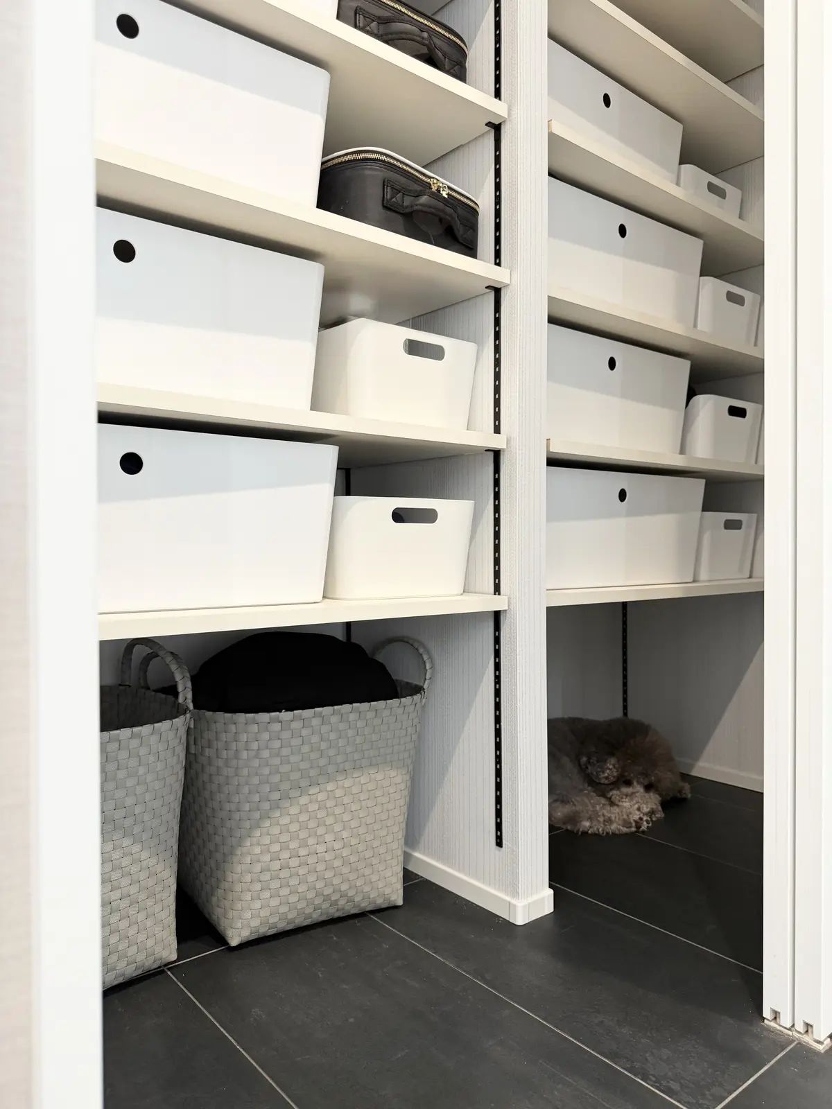 「使いやすさ」も「見た目の美しさ」も、どの画像_5