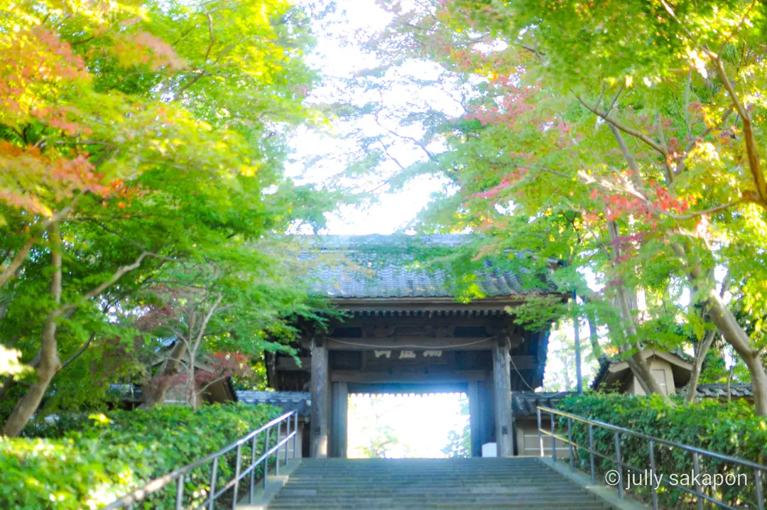 【さかぽんの冒険】フライング紅葉狩り@北の画像_12