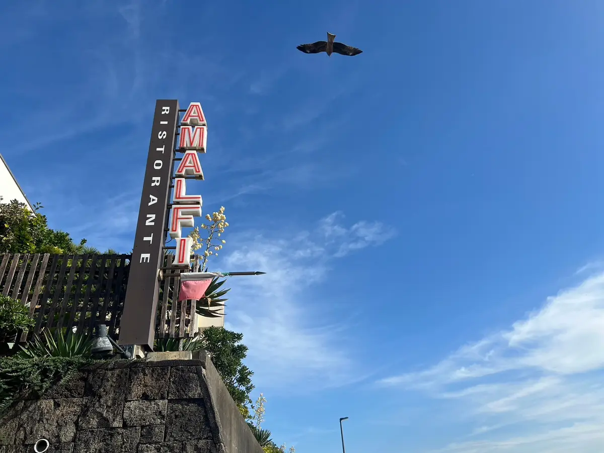 お洒落レストラン