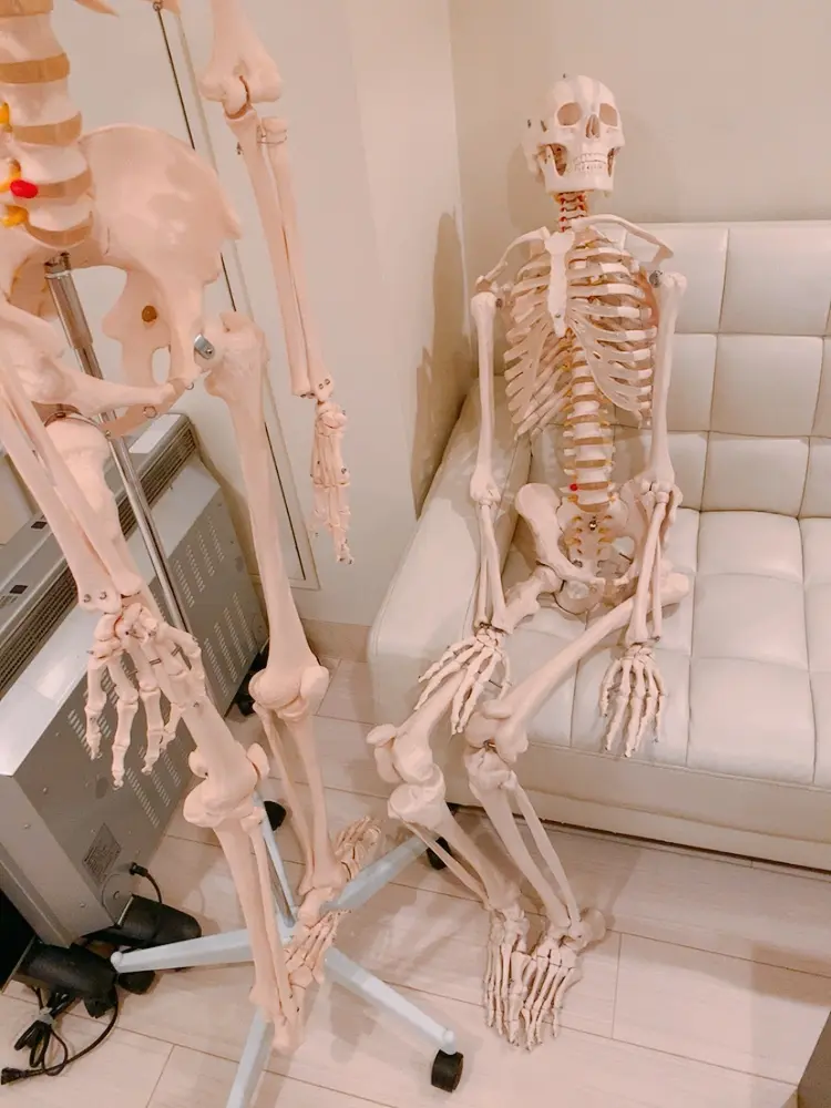 ピラティスの学びとエクササイズをやっていの画像_1