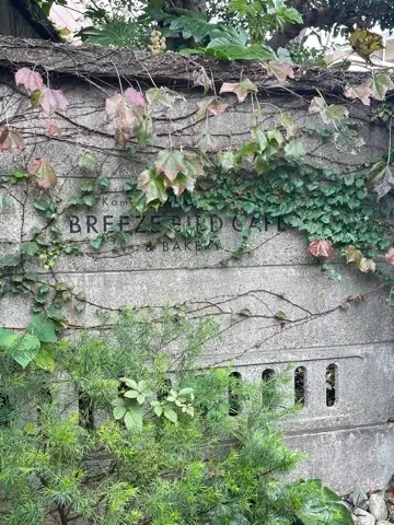 この時期に不思議と作りたくなるリースの画像_1