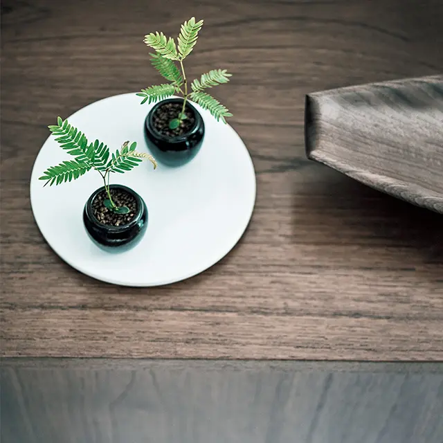 小さなグリーン