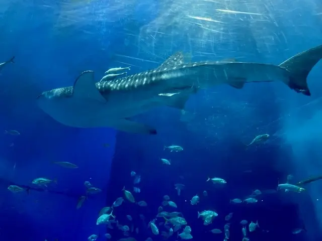 旅で見つけた革のおしゃれストラップの画像_2