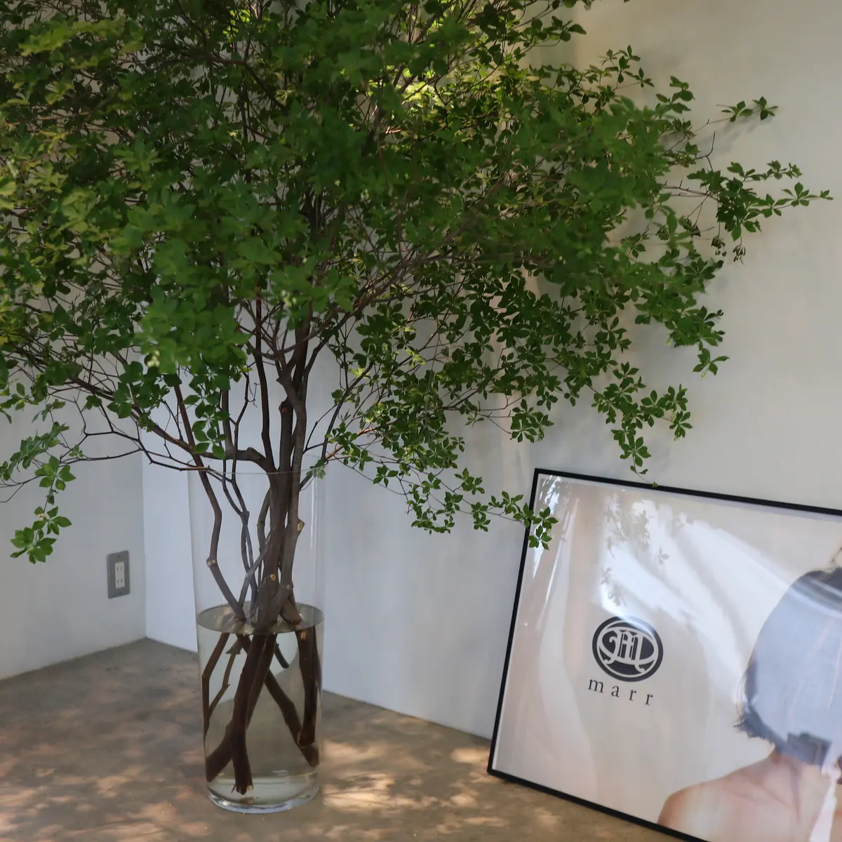 大人ヘアは艶が命！ブラシ型のヘアアイロンの画像_1