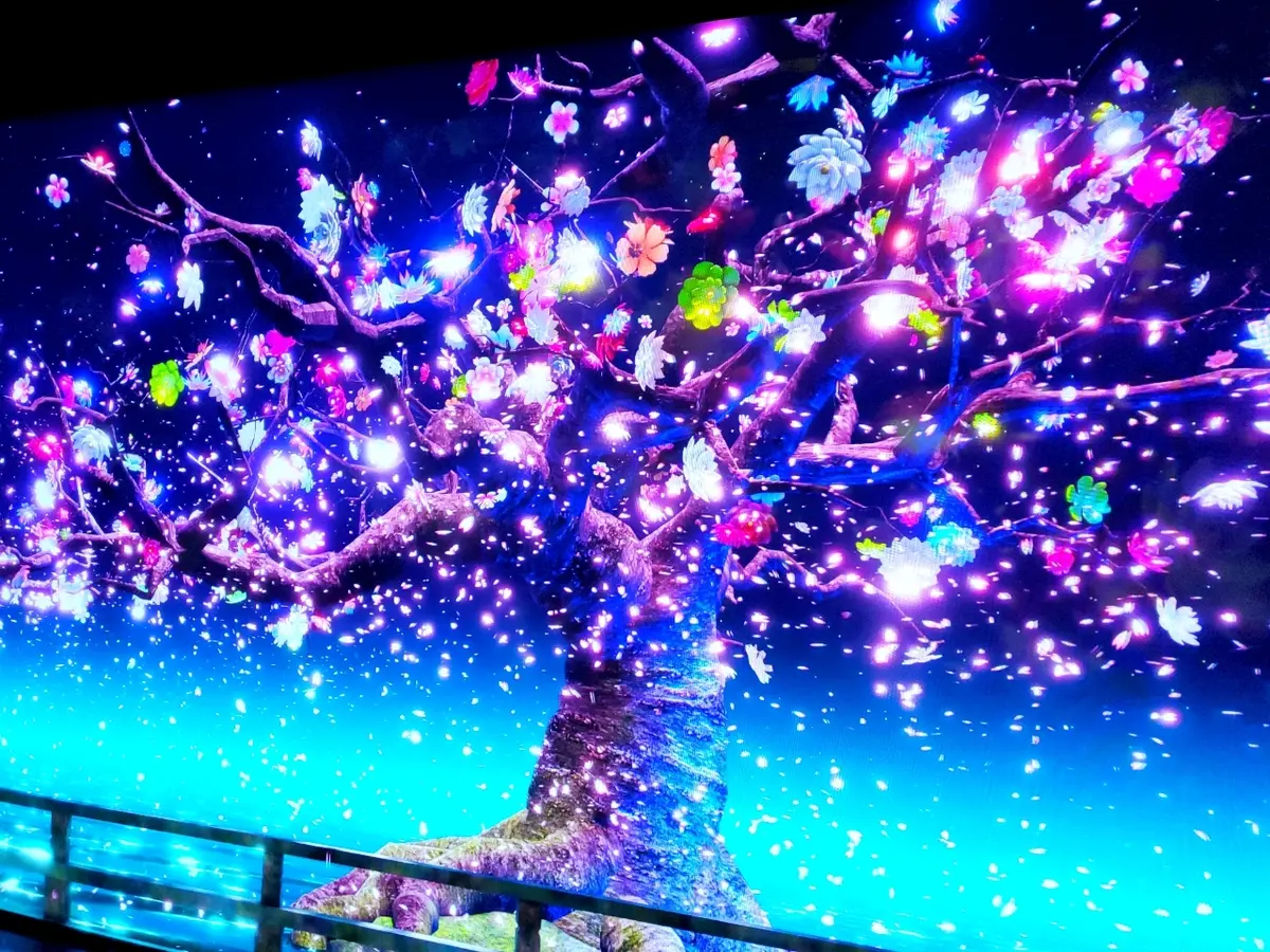 いろいろなデザインの桜を楽しめます