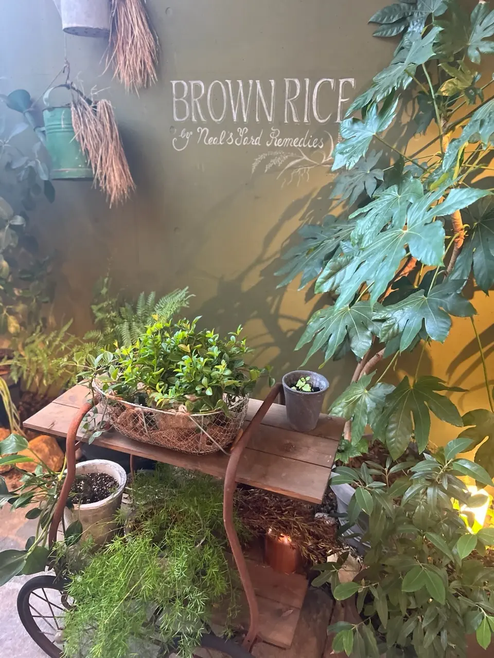 ほどよいドラマティック感のスカートでココの画像_6