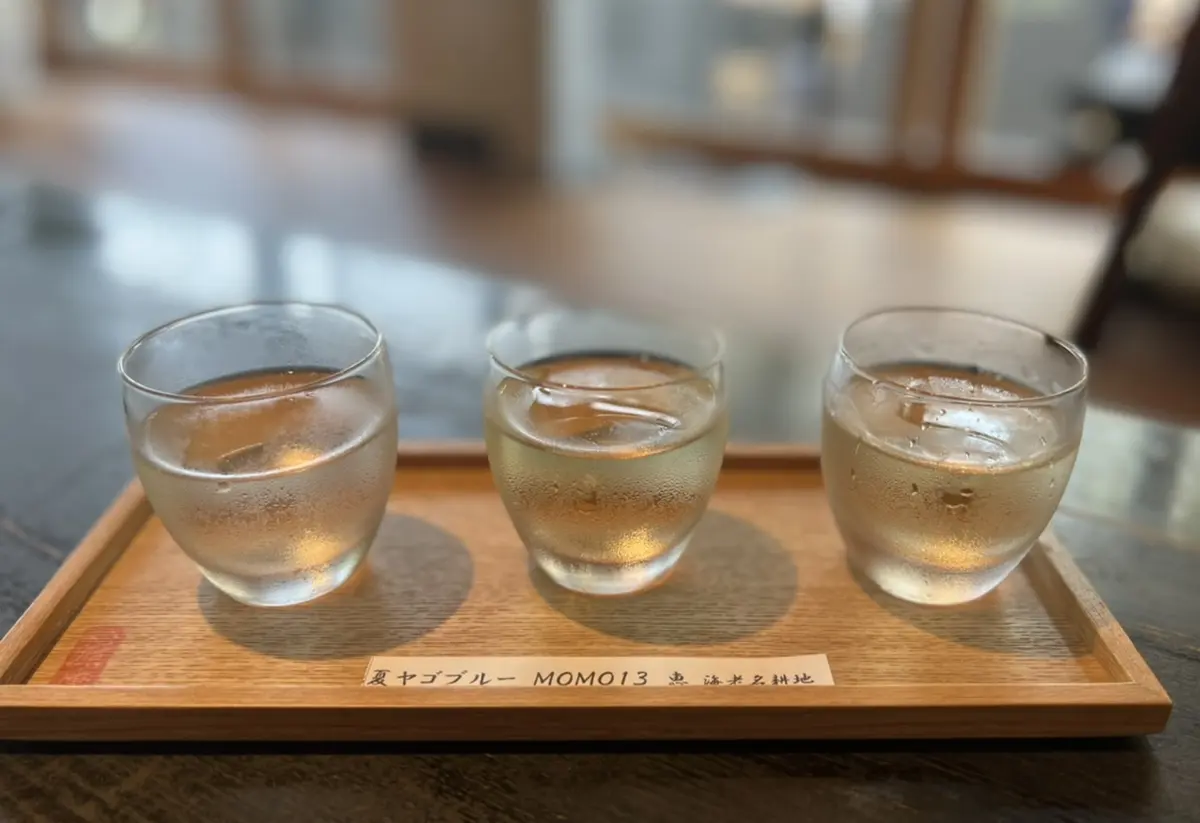 紫陽花☆お蕎麦☆6月の鎌倉さんぽの画像_8