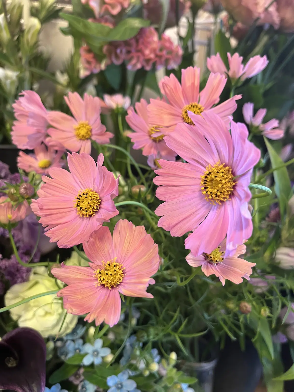 ほんのり秋を感じるブーケの画像_3