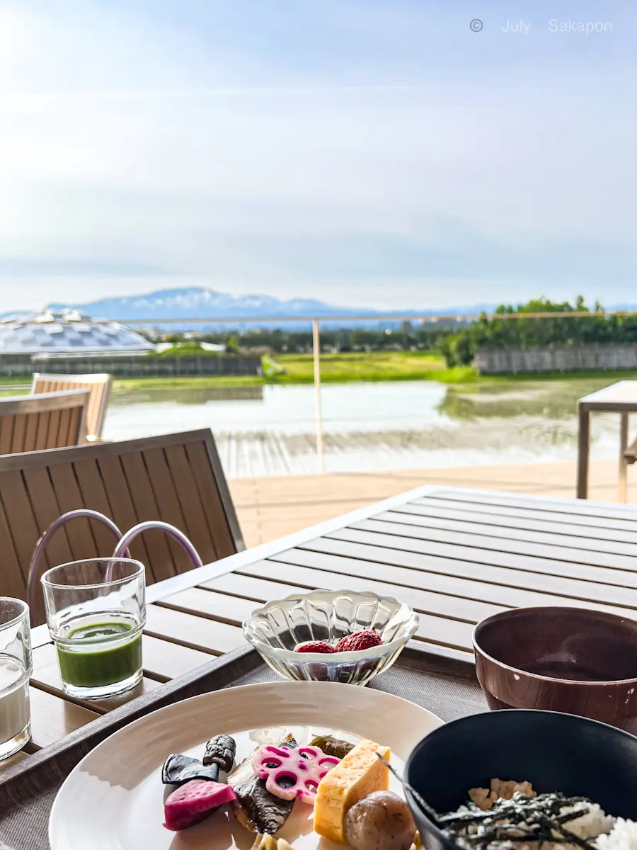 【さかぽんの冒険】カエルのオーケストラとの画像_3