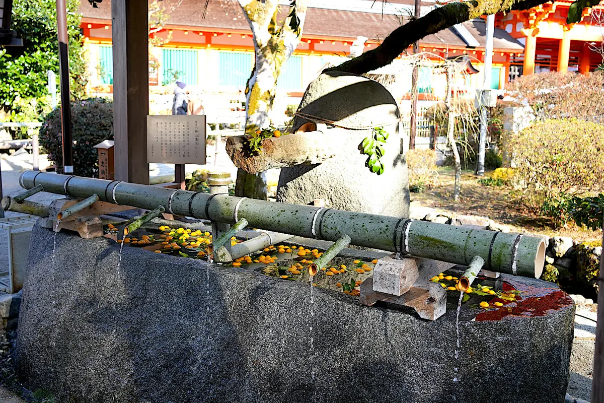 手水舎は柚子で飾り付け
