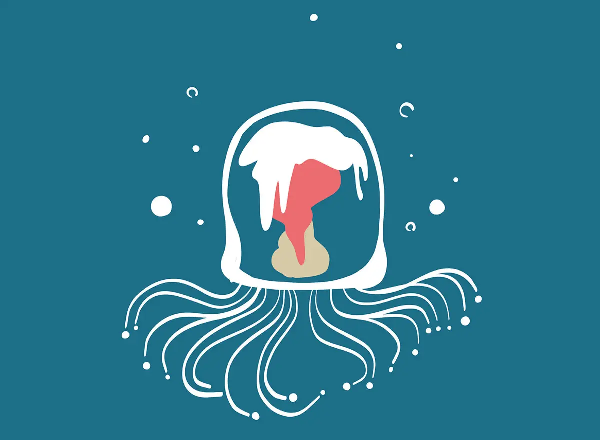 OurAge×Webエクラ　ベニクラゲ