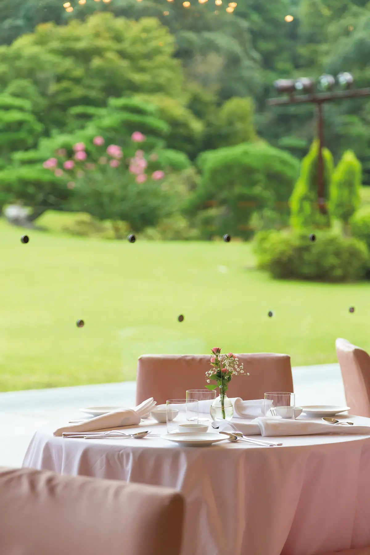 新しくて、おいしくて、楽しい 奈良の新グの画像_4