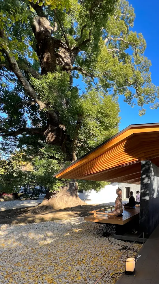 【さかぽんの美術手帖】Picassoとその画像_13