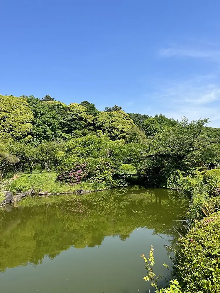 新緑の小石川植物園への画像_14