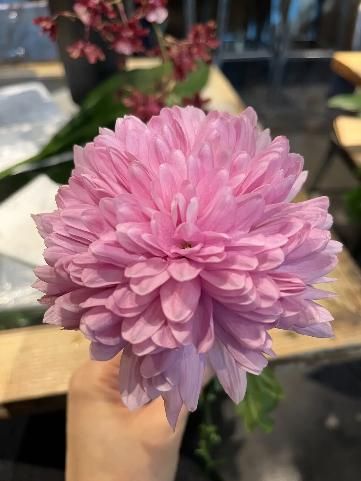 2024年、始まってますね。の画像_7