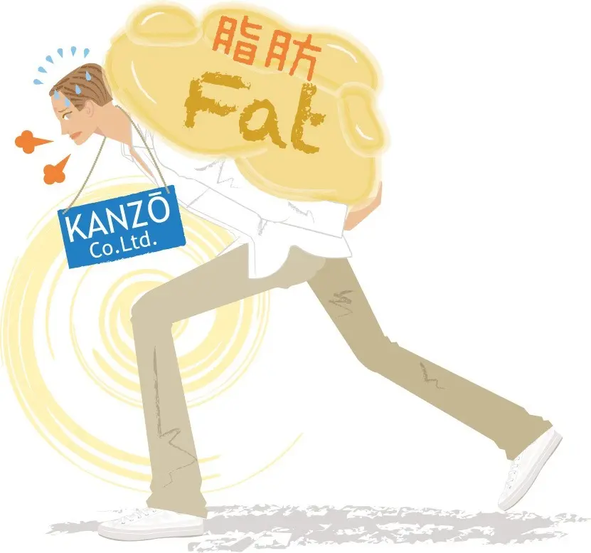 OurAge×Webエクラ　脂肪