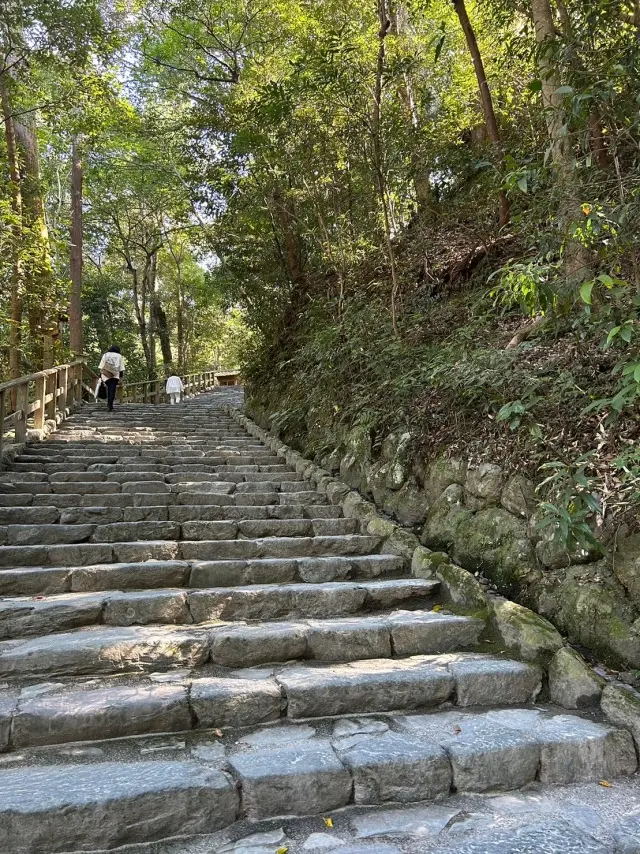 女友達と伊勢の旅へ。の画像_2