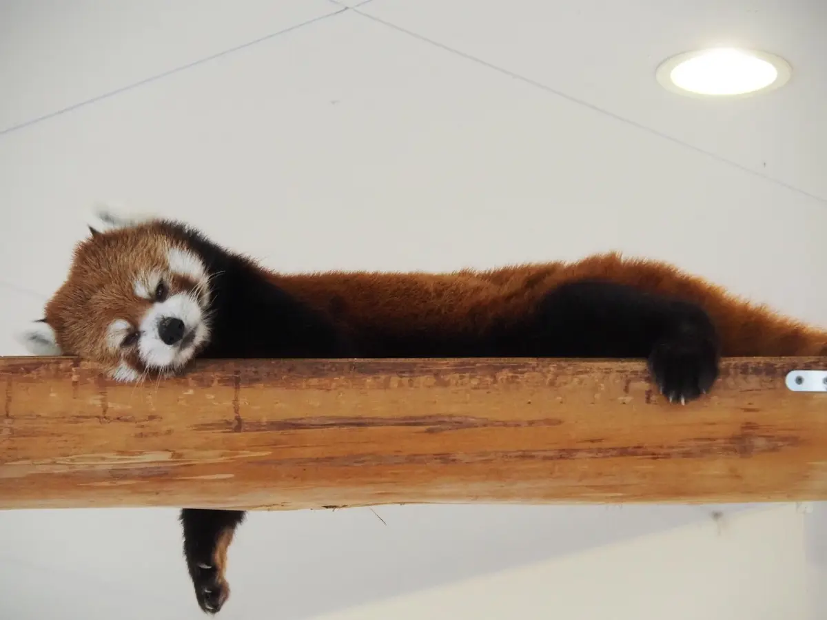 初めての和歌山県!!紀南方面へ2人旅♡～の画像_5