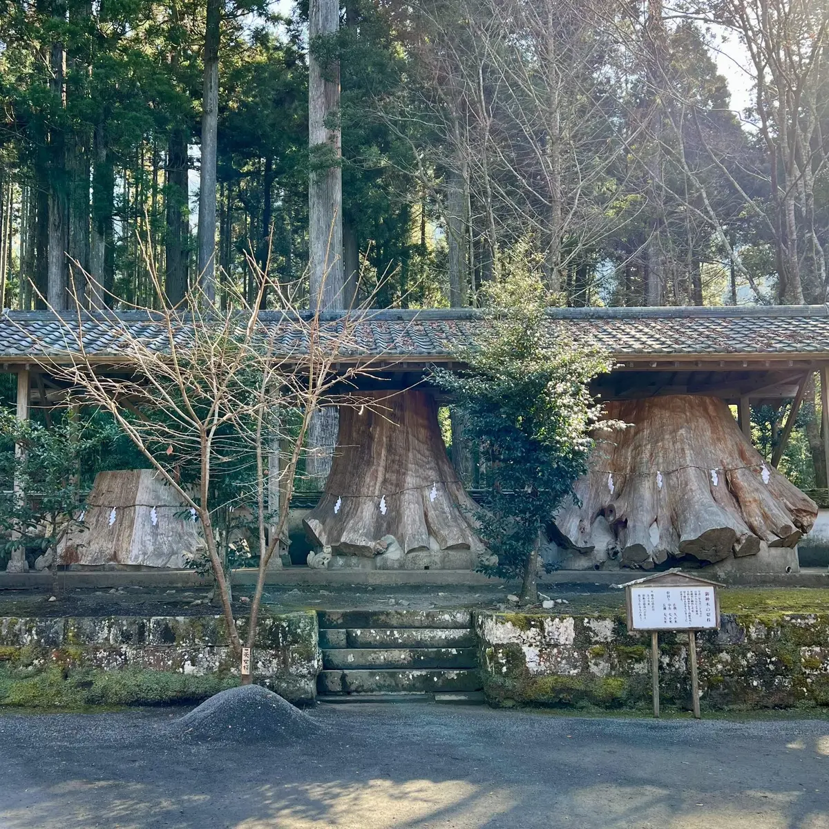 由布院「観光辻馬車」、「宇奈岐日女神社」、御神木切株