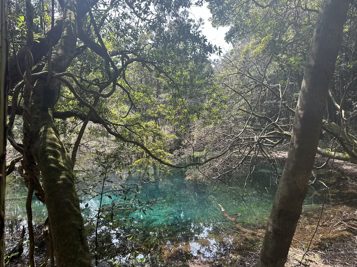 山形最強のパワースポット丸池様へ開運旅行の画像_24