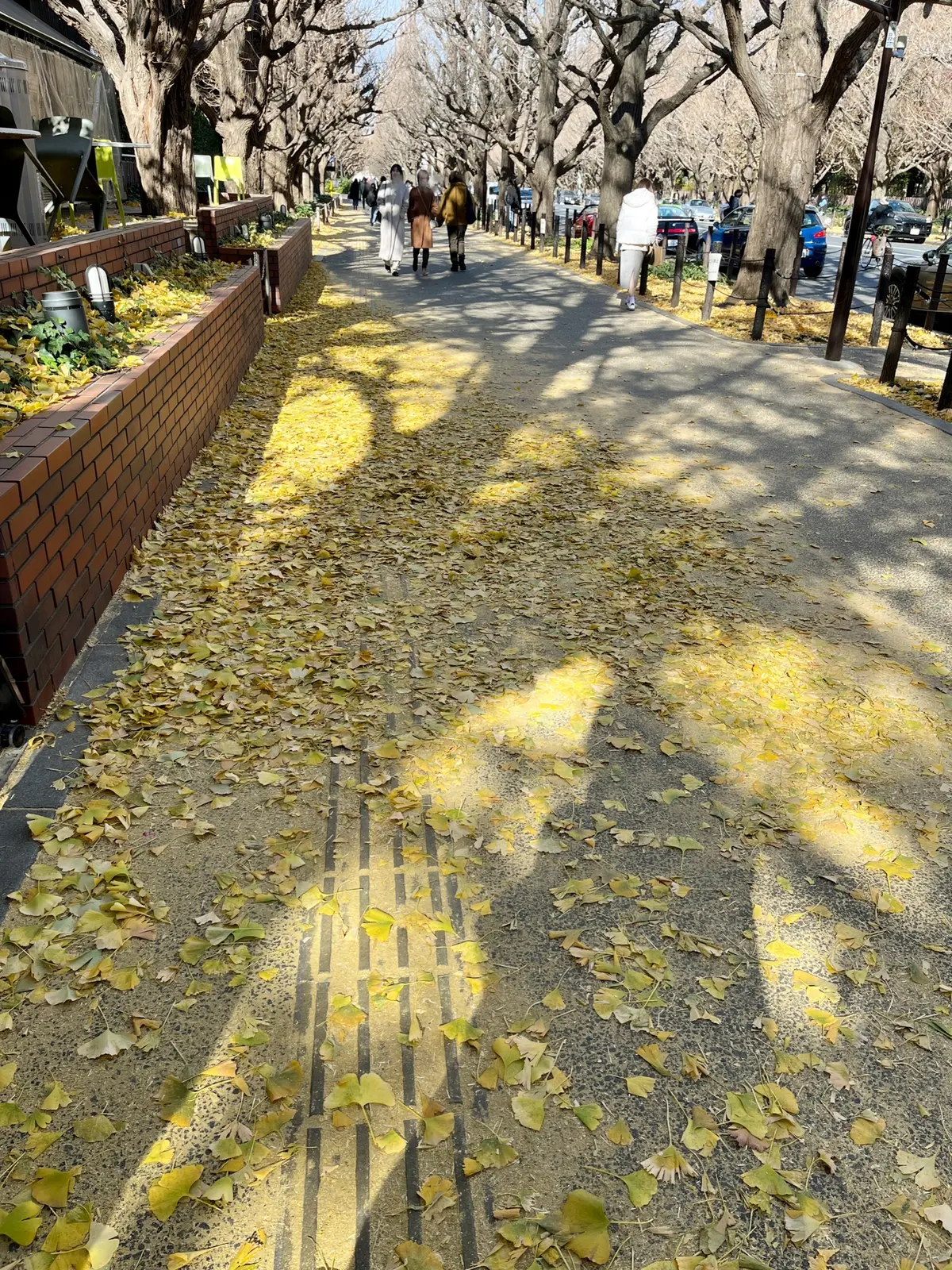 初〝KIHACHI〟のアフタヌーンティーの画像_1