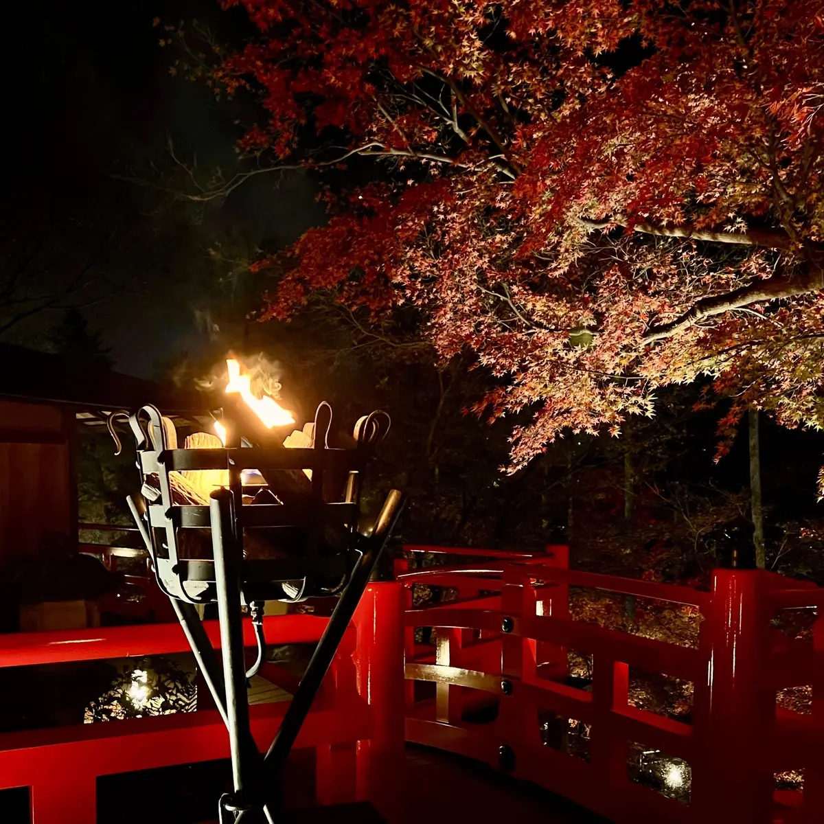 北野天満宮「もみじ苑」