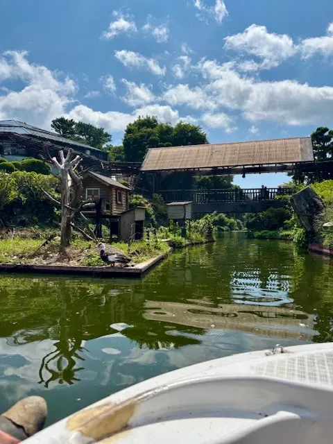 最近お気に入りのニューバランスのスニーカの画像_2