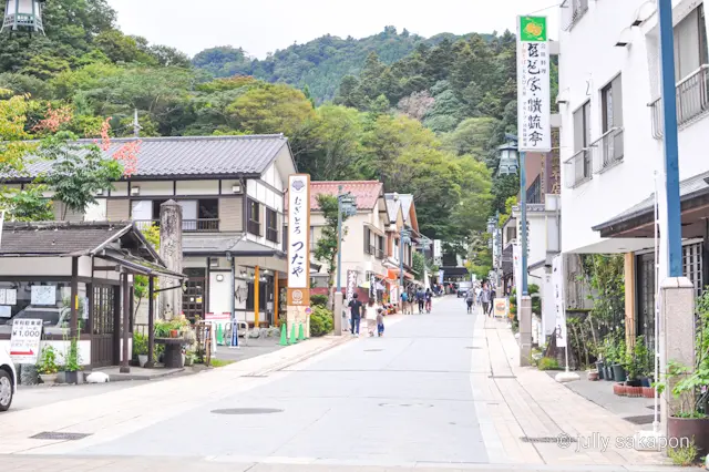 【さかぽんの冒険】苔むす秋の山と温泉プチの画像_4