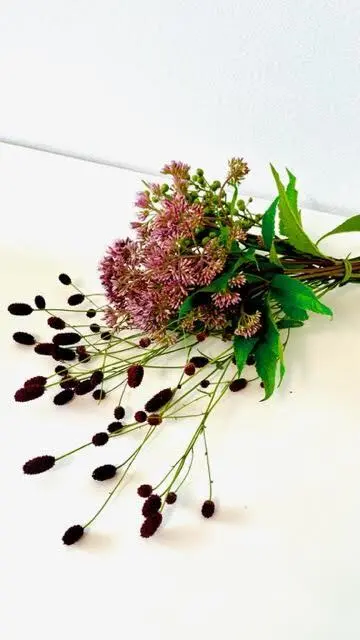 フジバカマと吾亦紅（ワレモコウ）