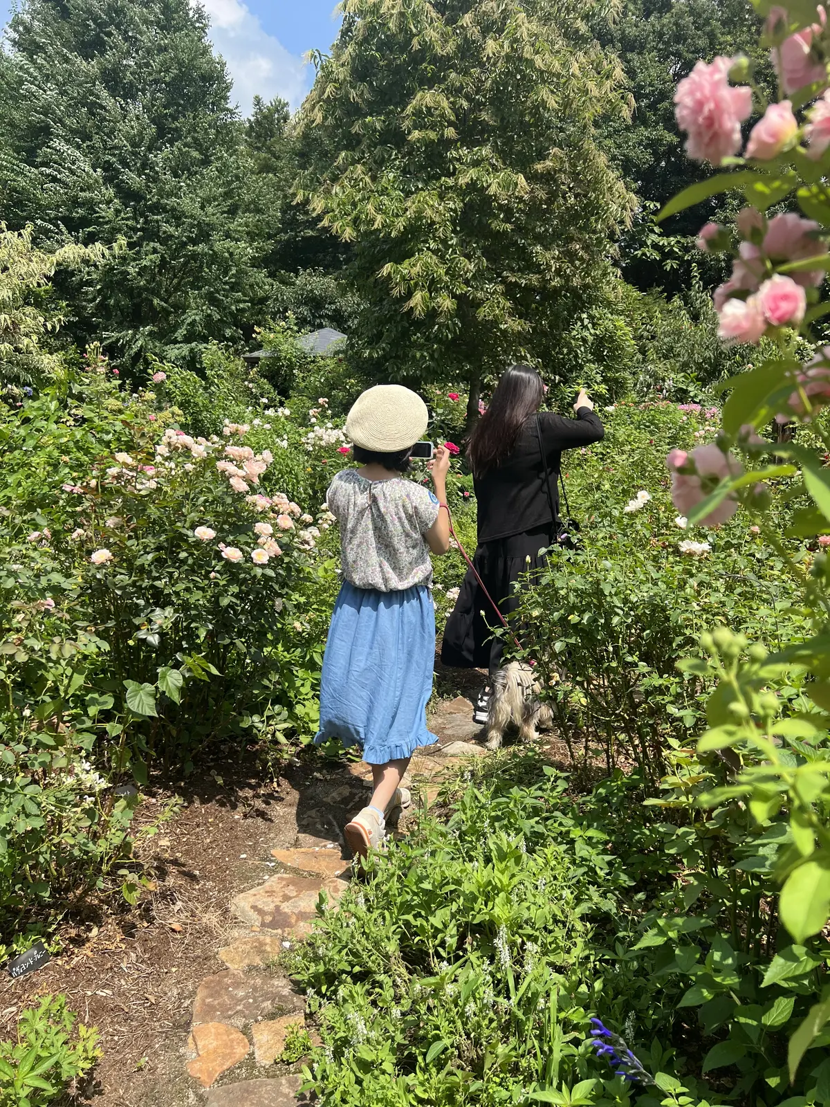 秘密の花園のよう！