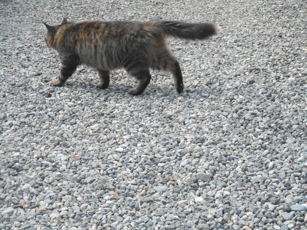 50代女性のホンネ：私の隣の”イタイ人”の画像_3