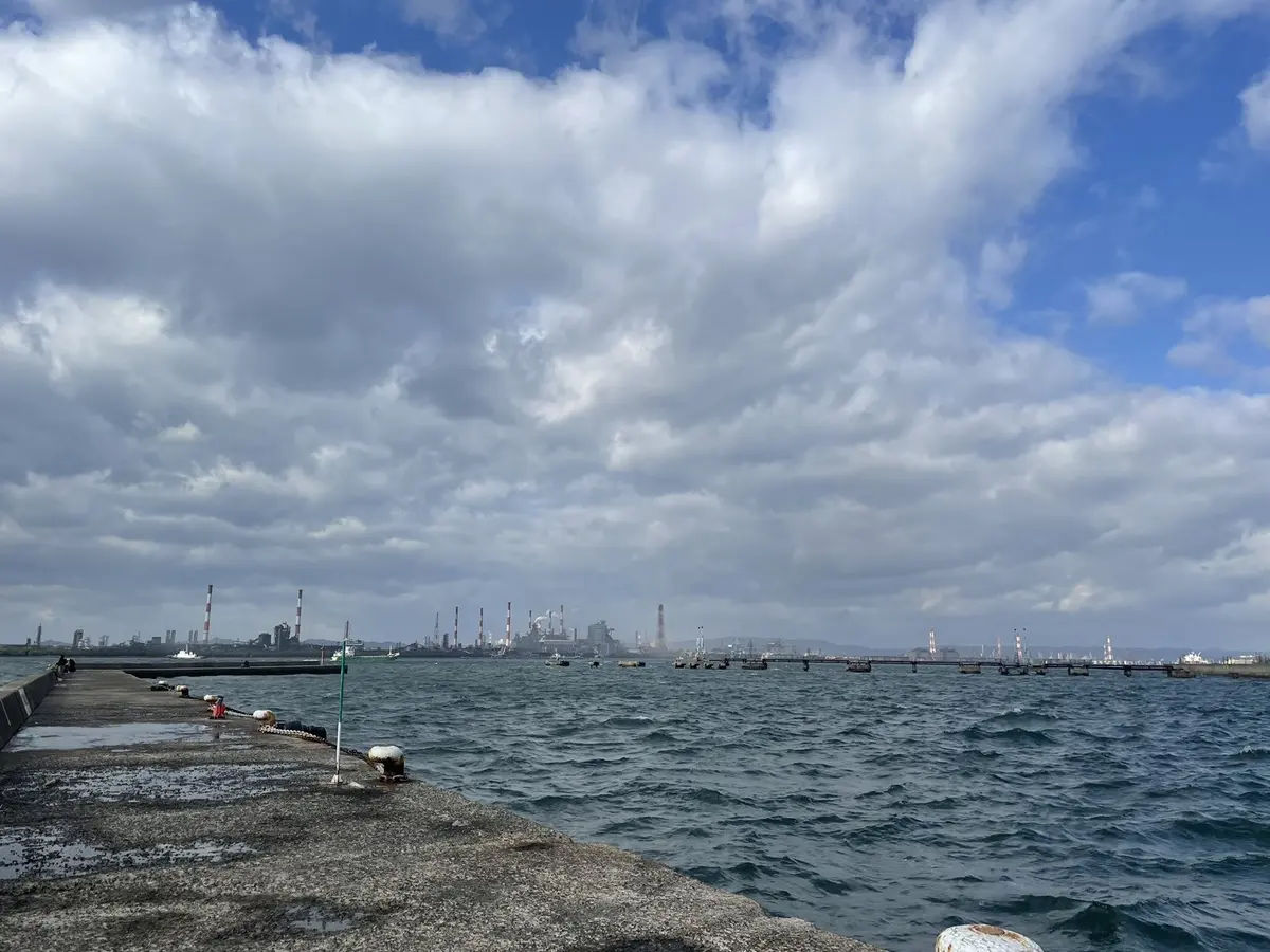 パール付きカーディガンコートにZARAをの画像_3