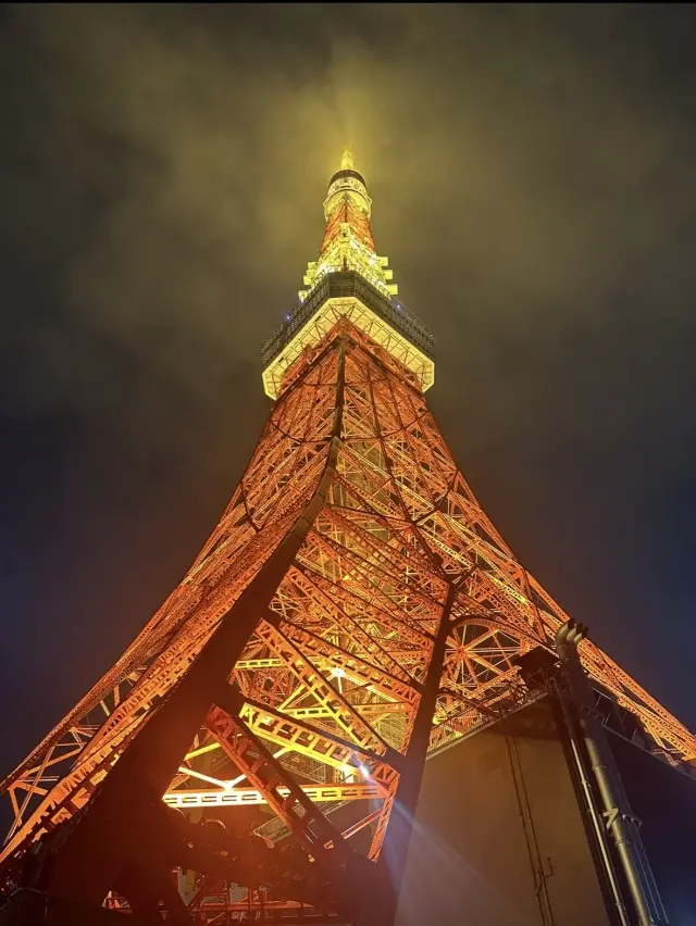 秋の雨と東京タワー。の画像_3