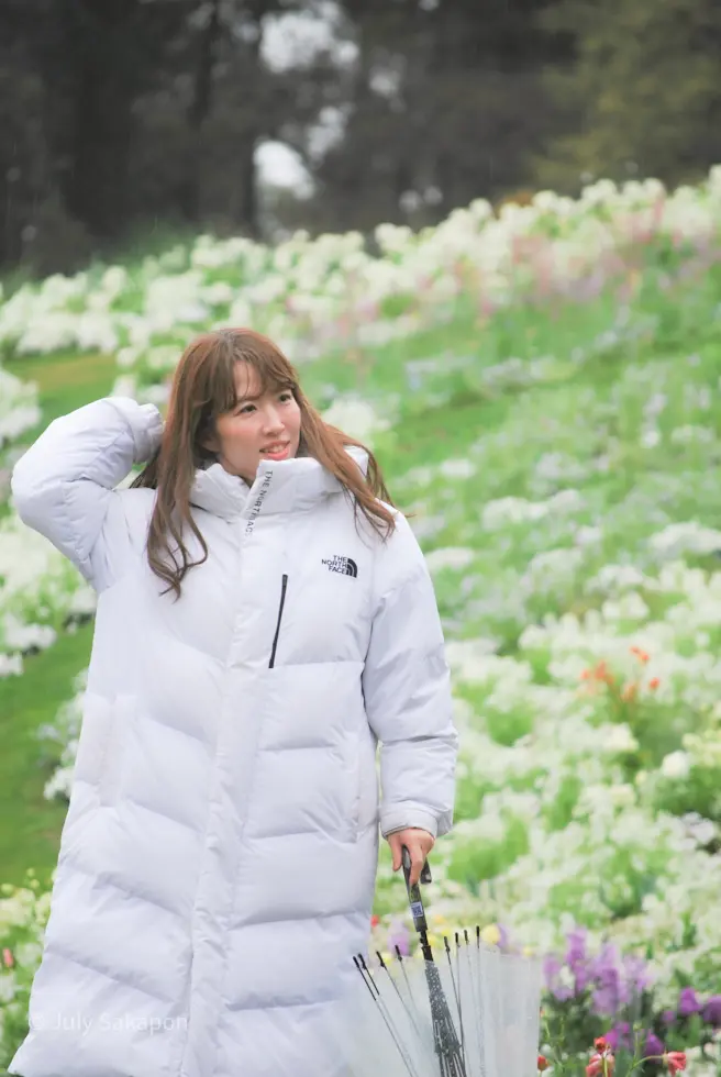 【さかぽんギャラリー】里山ガーデンフェスの画像_9