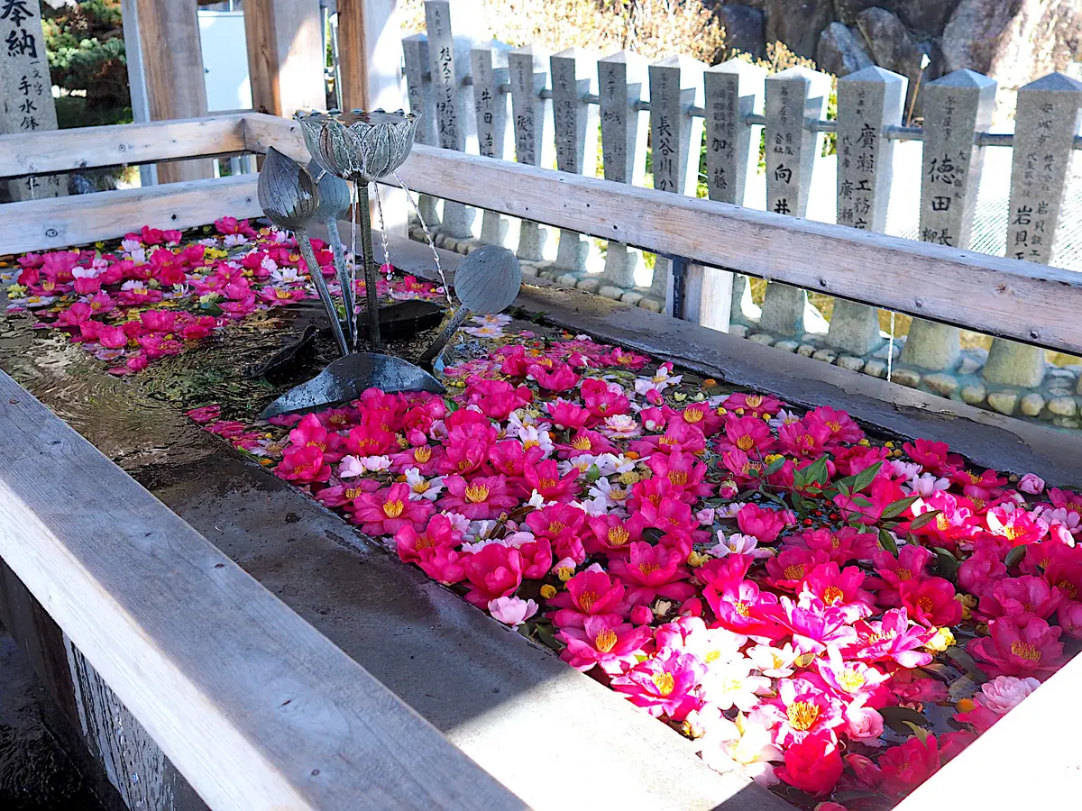 成田山名古屋別院大聖寺　手水舎　青銅の蓮が立っています。