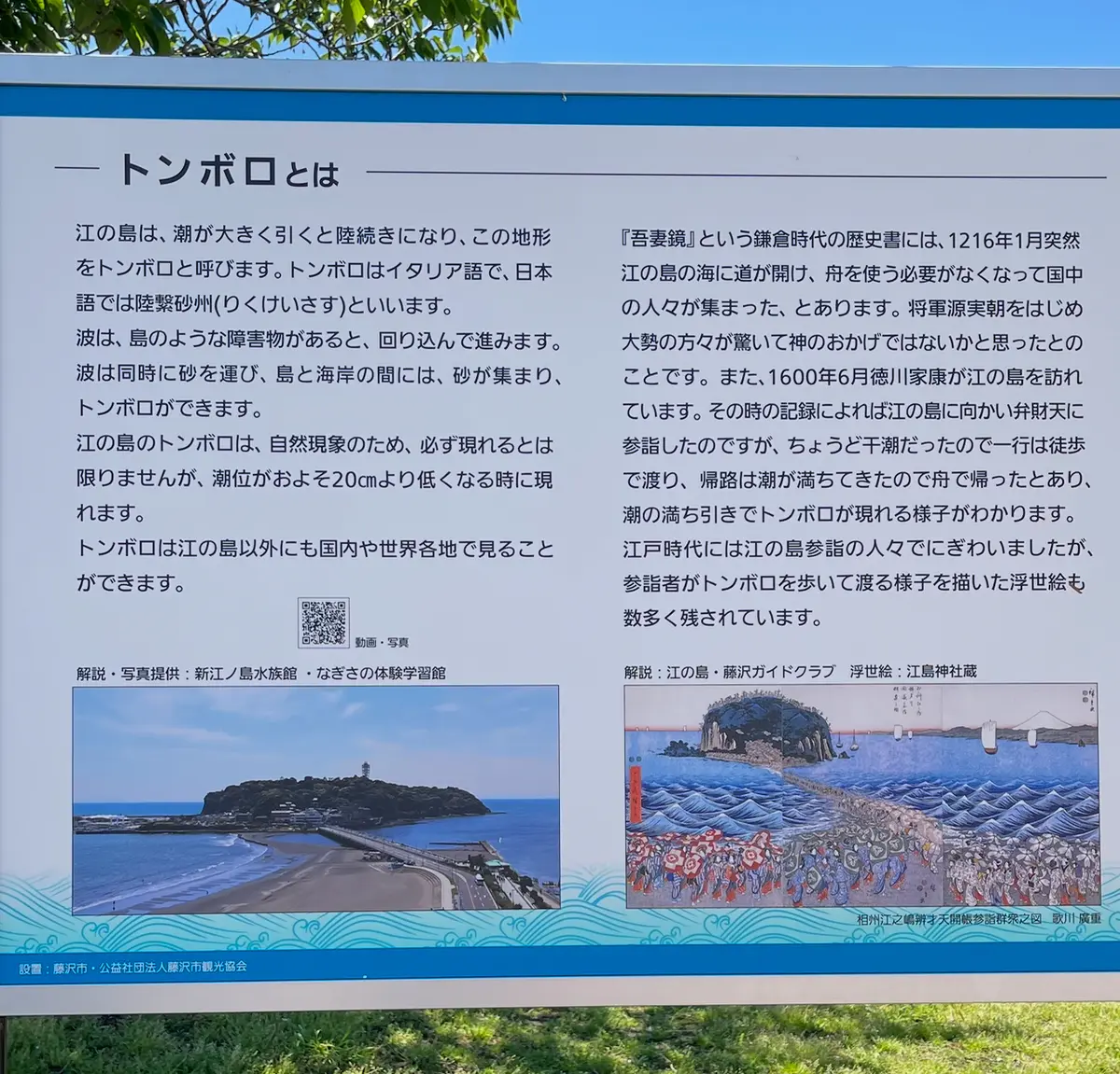 ピンクシャツと白デニムで江ノ島散策の画像_2