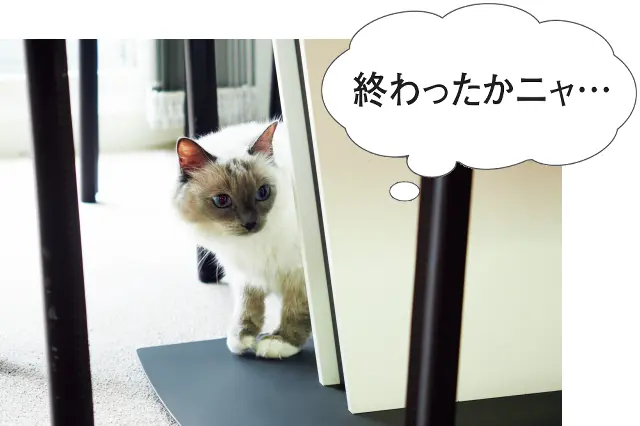 少し落ち着いて部屋を歩きはじめたベル