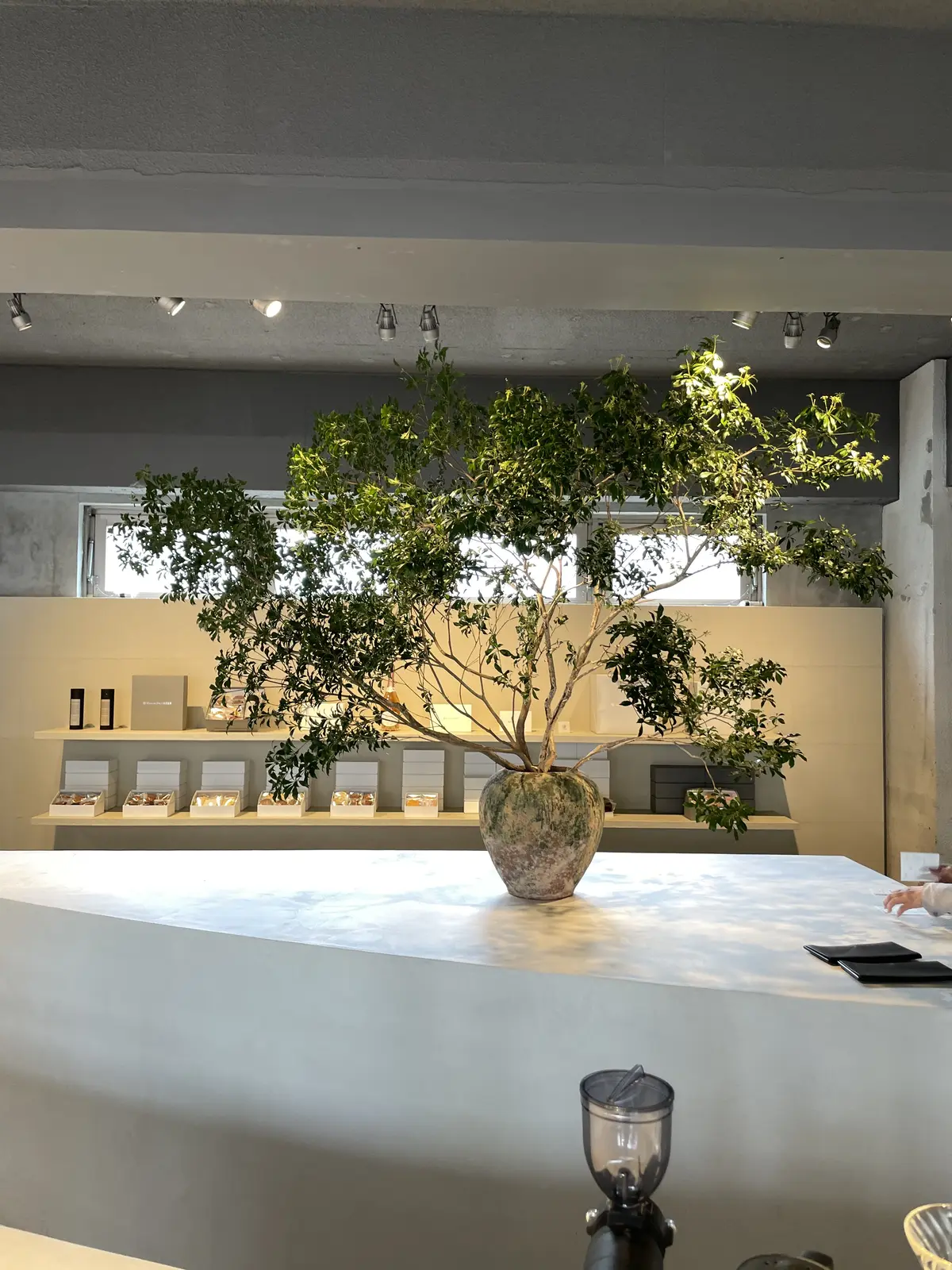 最旬カラーのイエローコーデの画像_2