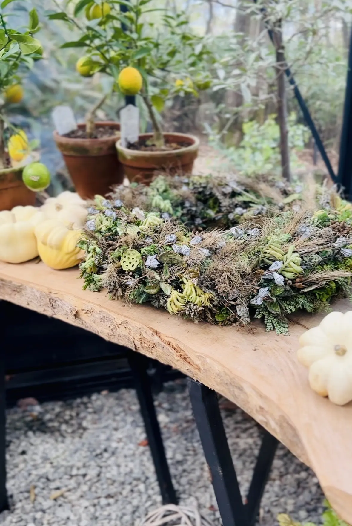 【ニコライバーグマン箱根ガーデンズ】大自の画像_10