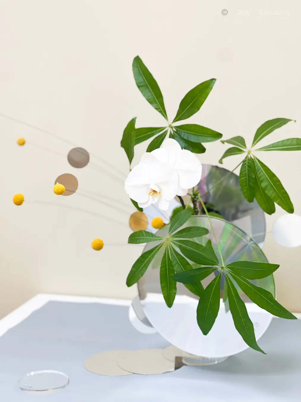 【日本橋三越】池坊 いけばな展にての画像_5