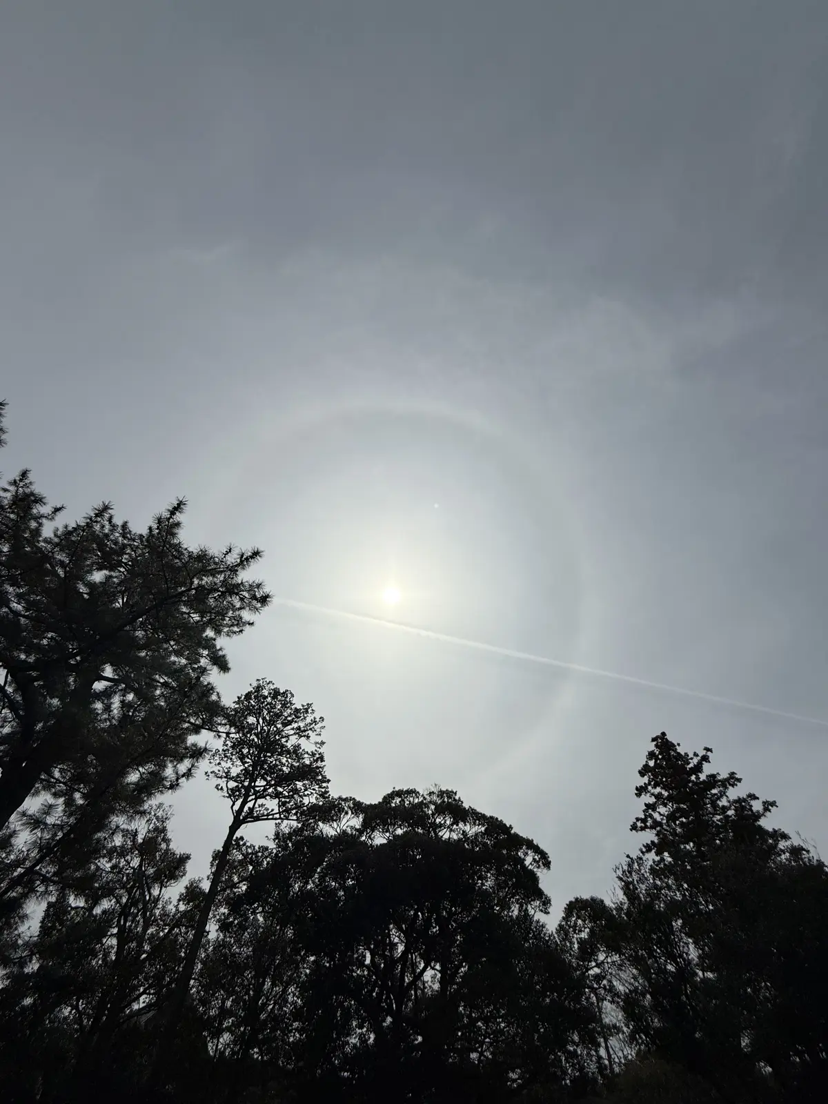 【三重】伊勢神宮へ─大阪・東京・名古屋かの画像_2