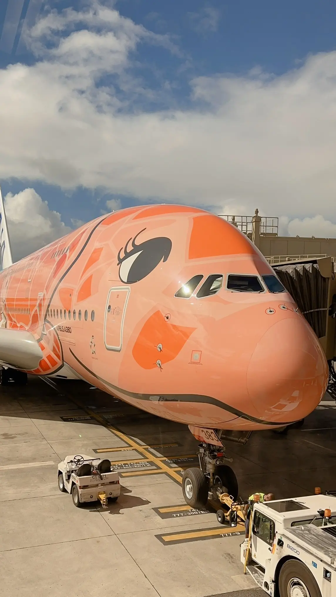 ANAフライングホヌ