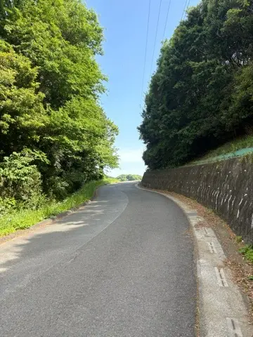 海老名SAを敢えて目的地に〜近場で過ごすの画像_12