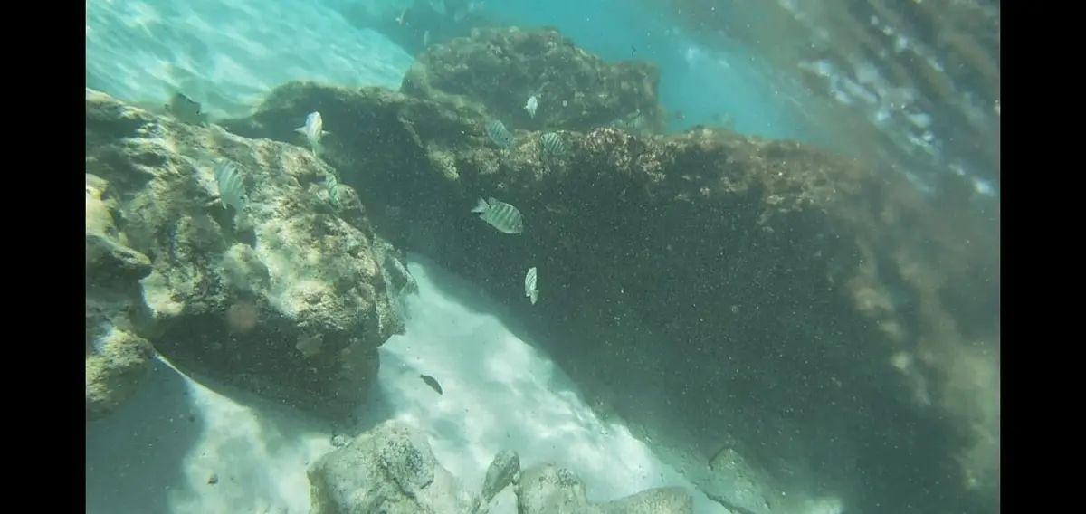 ハワイ島へ♡全米1美しいビーチのあるウェの画像_13