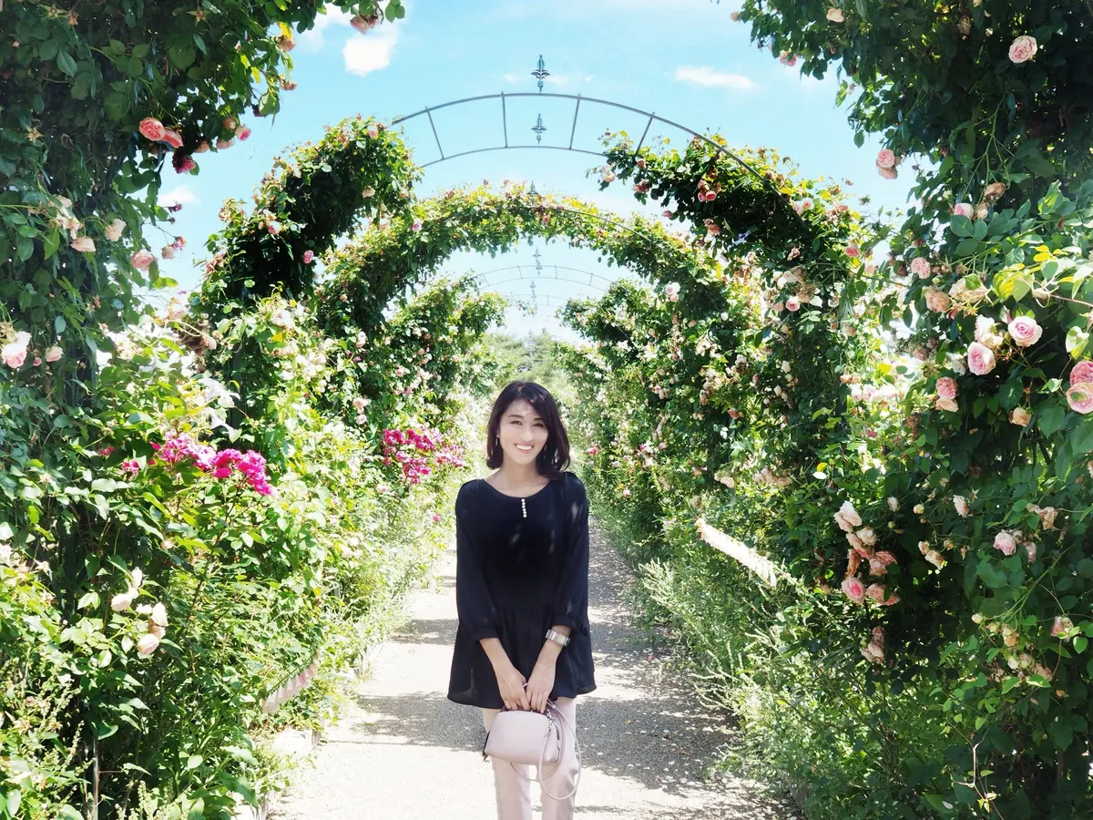 ローズガーデン」では約3,000㎡に170品種およそ1,000本の薔薇が楽しめるとのこと