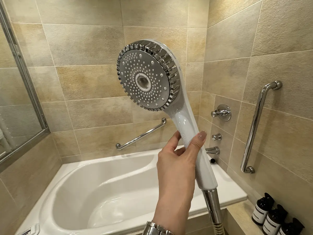 ハイアットリージェンシー箱根