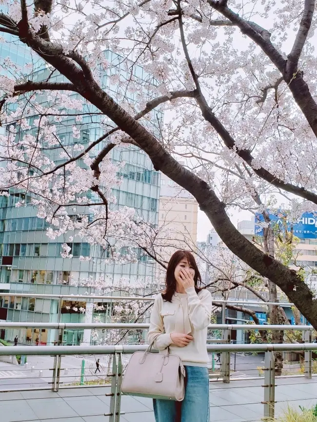 【はとバス】で行く！春の目黒川桜クルーズの画像_2