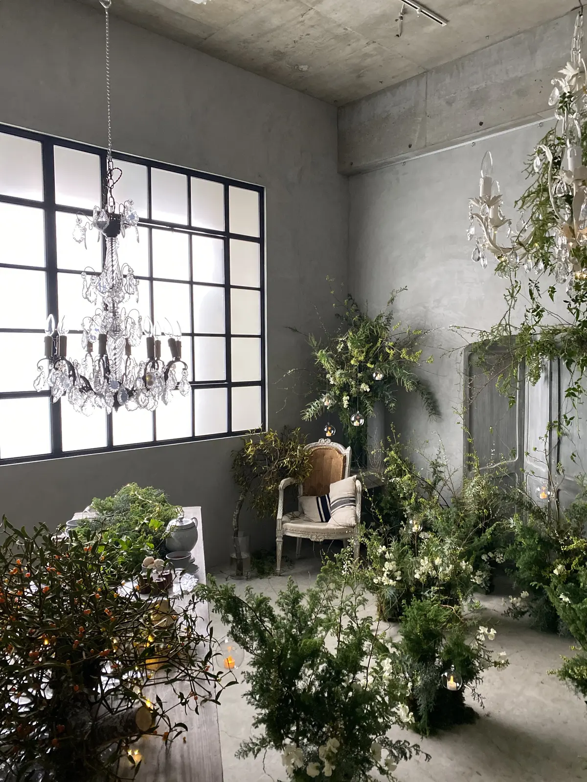 森のクリスマス