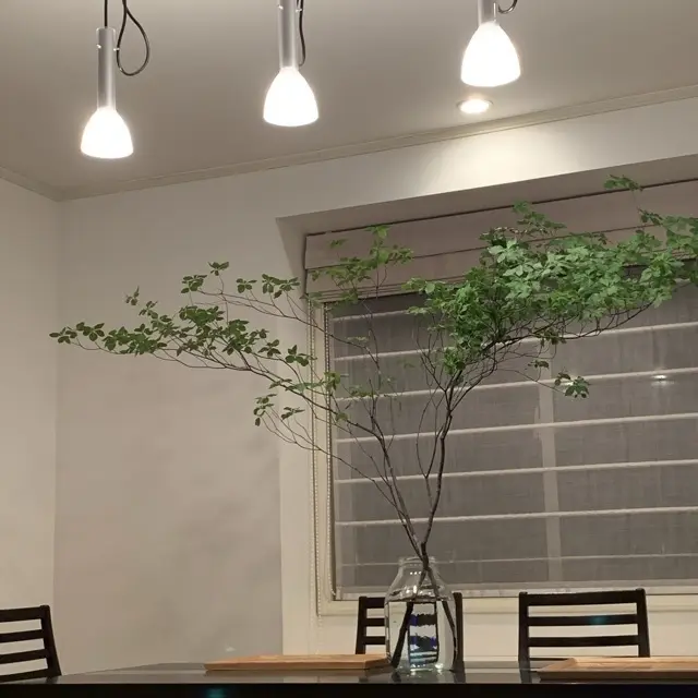 リビングはオリンピックモードの画像_2